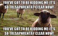 you've got to be kidding me-it's so trlsapnrentay clear now! you've got to be kidding me-it's so trlsapnrentay clear now!