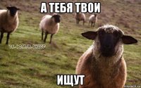 а тебя твои ищут