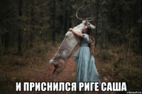  и приснился риге саша