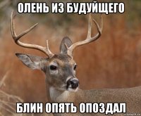 олень из будуйщего блин опять опоздал