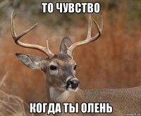 то чувство когда ты олень