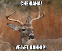 снежана! убъет ваню?!