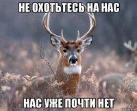 не охотьтесь на нас нас уже почти нет