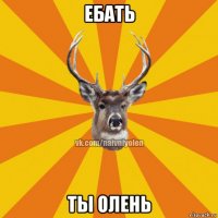 ебать ты олень