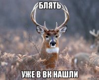 блять уже в вк нашли