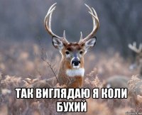  так виглядаю я коли бухий