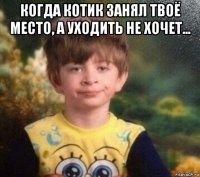 когда котик занял твоё место, а уходить не хочет... 