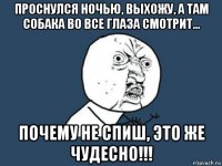 проснулся ночью, выхожу, а там собака во все глаза смотрит... почему не спиш, это же чудесно!!!