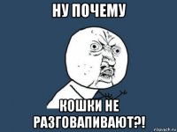 ну почему кошки не разговапивают?!