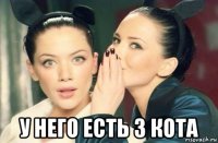  у него есть 3 кота