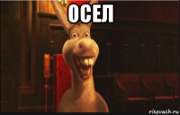 осел 