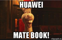 huawei mate book!