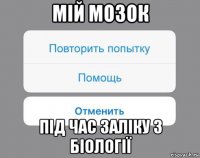 мій мозок під час заліку з біології