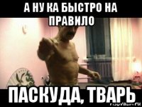 а ну ка быстро на правило паскуда, тварь