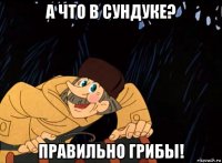 а что в сундуке? правильно грибы!