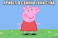 привет я свинка john cyna 