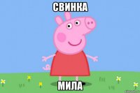 свинка мила