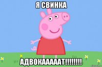 я свинка адвокааааат!!!!!!!!