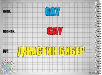 Gay Gay Джастин Бибер