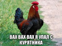  вах вах вах я упал с курятника