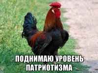  поднимаю уровень патриотизма