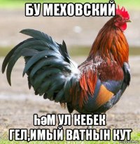 бу меховский һәм ул кебек гел,имый ватнын кут