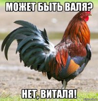 может быть валя? нет, виталя!