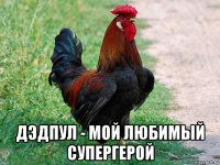  дэдпул - мой любимый супергерой