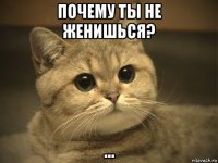 почему ты не женишься? ...