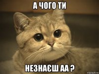 а чого ти незнаєш аа ?