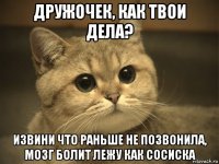 дружочек, как твои дела? извини что раньше не позвонила, мозг болит лежу как сосиска