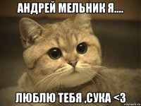 андрей мельник я.... люблю тебя ,сука <3