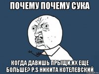 почему почему сука когда давишь прыщи,их еще больше? p.s никита котелевский