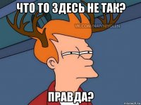 что то здесь не так? правда?