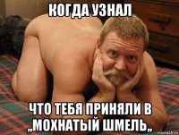 когда узнал что тебя приняли в ,,мохнатый шмель,,