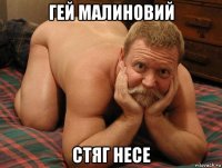 гей малиновий стяг несе