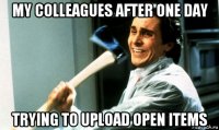 my colleagues after one day trying to upload open items