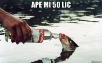 ape mi 50 lic 