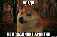 когда не продлили карантин