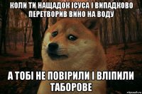 коли ти нащадок ісуса і випадково перетворив вино на воду а тобі не повірили і вліпили таборове