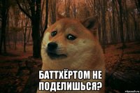  баттхёртом не поделишься?