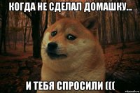 когда не сделал домашку... и тебя спросили (((