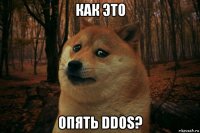 как это опять ddos?