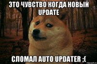 это чувство когда новый update сломал auto updater ;(