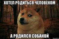 хотел родиться человеком а родился собакой