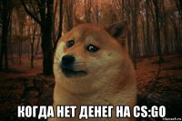  когда нет денег на cs:go