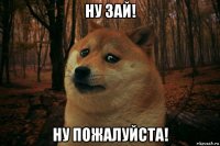 ну зай! ну пожалуйста!