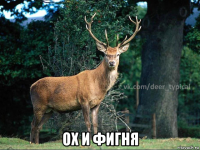  ох и фигня