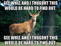 gee whiz, and i thugoht this would be hard to find out. gee whiz, and i thugoht this would be hard to find out.