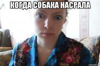 когда собака насрала 